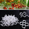 Lot de 100 clips de support de plantes pour légumes, tomates, et plants de vignes - Pour une croissance verticale et plus saine 2.6cm x 2cm blanc