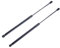 Frankberg 2x Ressorts à Gaz Hayon Compatibles avec Qashqai II J11 J11 Tous moteur s SUV 2013-2019 Remplacer# 90450-4EA1A