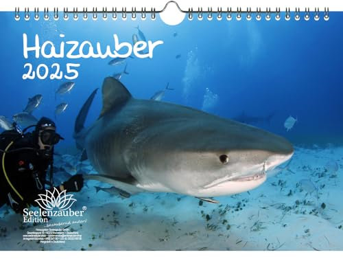 Haizauber DIN A4 Kalender für 2025 Hai Unterwasser Tauchen - Seelenzauber