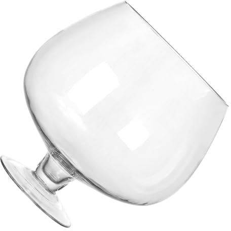 Cabilock Weinglas-Aquarium Klarer Blasenpflanzer Spender Getränke Flasche Servierschale Riese Saftiger Pflanzentopf Visitenkarte Fischglas Buffet-süßigkeitenhalter Einzigartig Transparent