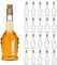 slkfactory Bukaresdt - Botellas de cristal vacías con corcho SPI (20 unidades, 20 unidades, 250 ml)