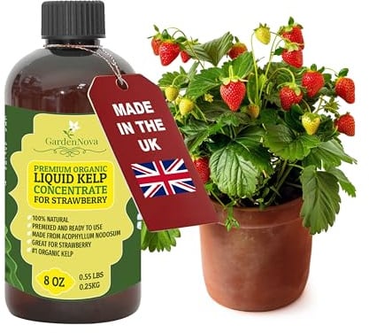 GARDENNOVA Premium Organic Seaweed & Kelp Superfood for Strawberry - 8 oz - Liquid Kelp Fertilizer (Makes 25 Litres)