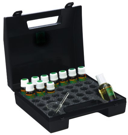 Absolute Aromas Aromatherapy Starter Kit Complete with 10 Essential Oils and 50ml Almond Oil in a Plastic Storage case, Includes Bergamot, Eucalyptus, Lavender & Tea Tree
