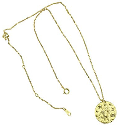 Dnicee Halskette Damen Herren Gold 18K vergoldet in 925 Silber, Anhänger Gold Sternzeichen beliebig. (Wassermann)