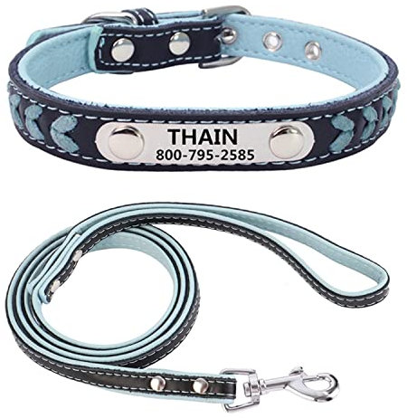 THAIN Leather Custom Collar and Leash Combo Set,Braided Leather Engraved Dog Collars with Personalised Stainless Steel Nameplate for Small Medium Large Dogs & Cats (XS, Blue Set)