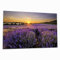 Wallario Herdabdeckplatte/Spritzschutz aus Glas, 2-teilig, 80x52cm, für Ceran- und Induktionsherde, Sonnenuntergang über dem Lavendel