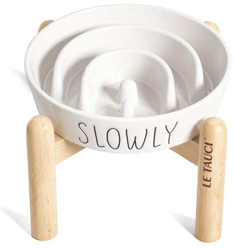 Ceramic Elevated Slow Feeder Dog Bowl - 0.6 Cup Puzzle Feeder with Wooden Stand for Small Breeds, White Pet Dish