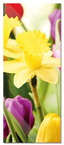 Quadro in vetro panoramico, da parete in vero vetro, campane pasquali e tulipani, 100 x 40 cm, con sospensione e distanziatore