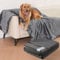 HezzLuv Wasserdicht Hundedecke 152x203 cm, Waschbar Flanell Haustierdecke für Sofa Bettüberzug, rutschfest Warme Decke, Flauschig & Weich, Auslaufsicher, Möbelschutz für Kleine bis Groß Hunde Katzen