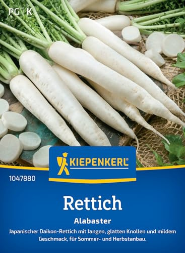 Kiepenkerl Rettichsamen Alabaster 1047880, Gemüsesaat