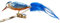 Birds of Glass® Glas-Vogel, Eisvogel mit Naturfeder | Glasschmuck Made in Germany aus eigener Herstellung | deko Vogel mit Clip, Glasvogel, echter Lauschaer Christbaumschmuck, für den Innenbereich