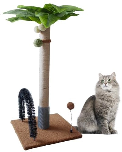 MUYG Kratzbaum mit Palme, 75 cm hoch, für Kätzchen, natürliches Sisal, mit hängenden interaktiven Bällen und Selbstpflegebürste (Kaffee)