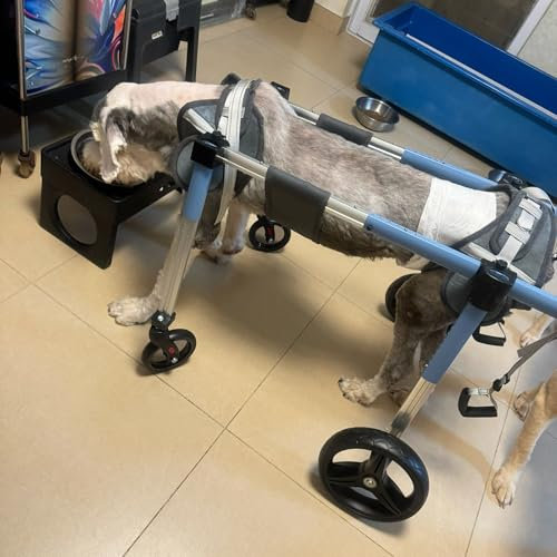 CMYUN Hunderollstuhl Rollstuhl für Behinderte Hunde mit 4 Rädern/2 Rädern, Hunderollstuhl mit Beinunterstützung S/m/l/XL/XXL, Leichte Haustierkarren Zur Wiederherstellung Der Mobilität(Blue,Size M)