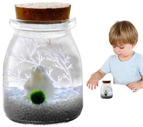 Terrario in vetro – Vaso in vetro, vaso da giardino da scrivania, contenitore decorativo, accessorio per esposizione di piante grasse, vaso di vetro con coperchio in sughero per piccole piante