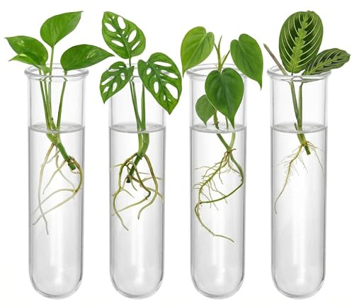 SUPVOX Vase Hydroponique À Tubes À Essai pour Boutures De Plantes Support De Propagation 4 Vases en Verre Présentation Murale pour Enracinement 7.09 X 1.18 X 1.18 in