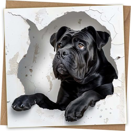 Cane Corso Grußkarte – lustige Hundekopf-Grußkarte durch die Wand