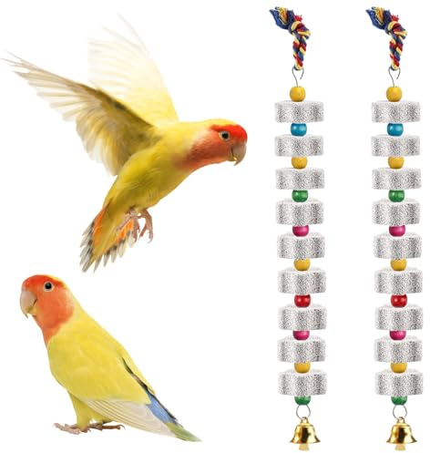 NYOSLB 2 Stück Große Vogel Kauspielzeug, Mineralstein Vogel Kauspielzeug für Papageien Vogel Zähne Schleifstein Vogelschnabel Schleifstein mit Glocke für Nymphensittich Wellensittiche