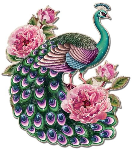 GLOBLELAND Pfau Blumen Unregelmäßig Retro Blechschild Pfingstrose Lustige Schilder Mit Sprüchen Vintage Metallschild Für Zuhause Zimmer Büro Garten Café Dekoration