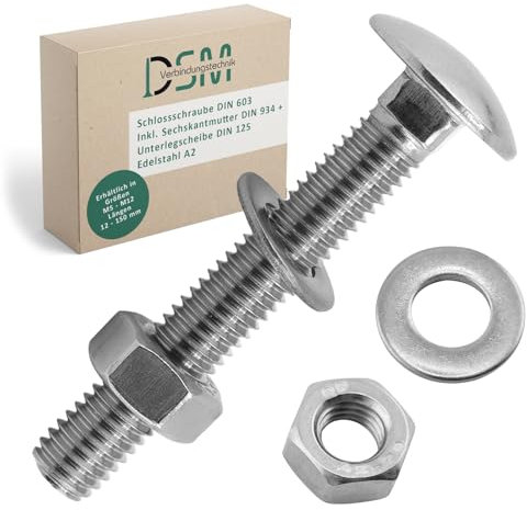 DSM - Boulons M6 x 100 mm selon DIN 603 - Avec écrou hexagonal M6 DIN 934 et rondelle DIN 125 - Acier inoxydable A2/V2A - Vis à tête bombée avec collet carré - Lot de 100