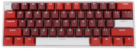 LXWalibrex 61 Key Mechanical Keyboard, 60 Percent Blue Switch RGB Backlit Hot Swappable Wired USB C Keyboard with Transparent Keycaps for Gaming Office Home Use