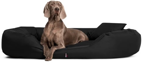 tierlando® Hundebett Sammy Komfort mit herausnehmbarer 4-Kammer-Matratze und hohem Rand aus Polyester 600D für große und schwere Hunde Größe: 140x105cm | Farbe: 03 Schwarz