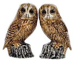 Quail Ceramics Tawny Owl Salt & Pepper Shakers