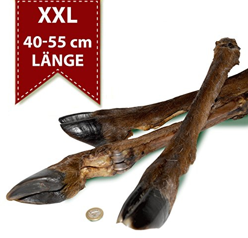 Original-Leckerlies: 2 Hirschbeine mit Fell, 40-55 cm, Kauartikel, extra Langer KAUSPASS, Kausnack ohne Zusätze, Naturprodukt für Hunde, Rehbein, Fettarm, barfen