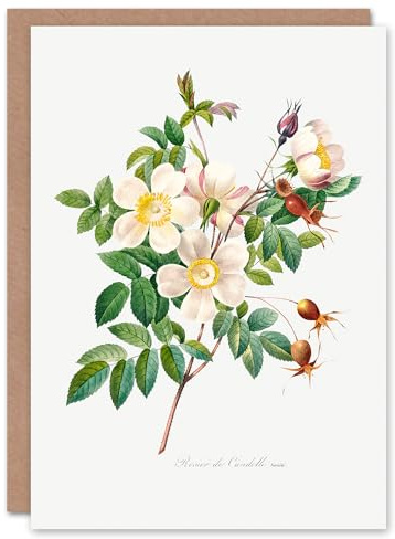 Artery8 Pierre-Joseph Redouté Art Card White Rose Vintage Floral