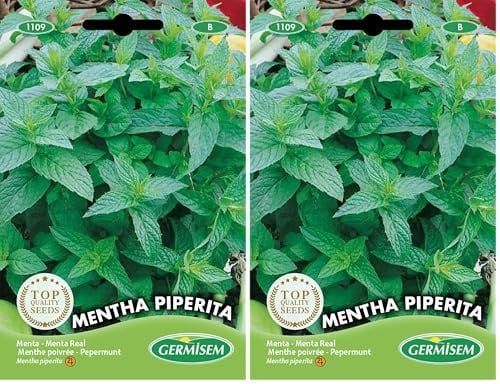 Germisem Mentha Piperita Semillas de Menta 0.2 g (Paquete de 2)