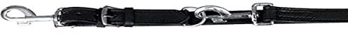 TRIXIE Verstellbare Hundeleine, L/XL 2,50 m/22 mm, schwarz, Small/Medium, 4011905180311