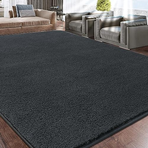 Rururug Wohnzimmer Teppich 300x200 cm Mikrofaser Kurzflor, Weich Flauschig, Moderner Groß Teppich, Waschbar, Anthrazit