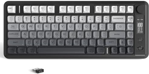 ZIYOU LANG M75 Clavier Gaming sans Fil avec écran et molette intelligents, Double Mode BT/2,4 GHz, Touches PBT dégradées, rétroéclairage Arc-en-Ciel, Clavier à Membrane TKL 82 Touches - Noir