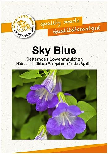 Blumensamen Sky Blue, Kletterndes Löwenmäulchen Portion