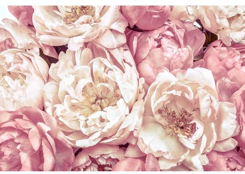 Komar Vlies Fototapete - Peonies - Größe 368 x 254 cm (Breite x Höhe), 4 Teile, inklusive Kleister - Tapete, Blumen, Blüten, Wohnzimmer, Schlafzimmer - XXL4-091