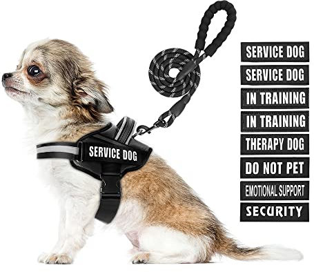 Service Dog Hundegeschirr, Geschirr und Leine, Animire in Trainings-Hundegeschirr mit 10 Hundeflicken, reflektierende Hundeleine mit weich gepolstertem Griff für kleine, mittelgroße und extra große
