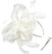 DRESHOW Damen Fascinators Hut Cocktail Party Tee Kopfbedeckung Blume Mesh Organza Bänder Federn auf Einem Stirnband