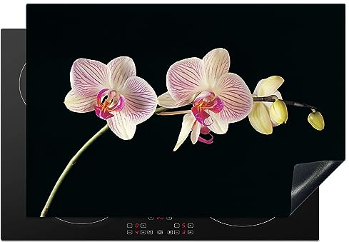 MuchoWow Herdabdeckplatte Ceranfeld Spritzschutz Küche Orchidee - Blumen - Schwarz - Rosa - Knöpfe 78x52 cm Induktionsherd Abdeckung Induktionskochfeld Ceranfeldabdeckung