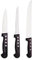 Assortiment de 3 couteaux professionnels Pradel Excellence