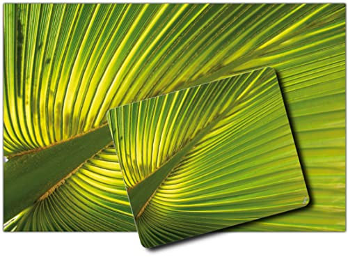 1art1 Palmas, Hoja De Palmera De Cáñamo 1 Póster Impresión Artística (120x80 cm) + 1 Alfombrilla para Ratón (23x19 cm) Set Regalo