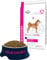 Eukanuba Daily Care Sensitive Digestion Hundefutter - Trockenfutter für Hunde mit sensibler Verdauung, Magenfreundlich mit leicht verdaulichem Reis, 2,5 kg