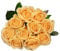 Bund Rose - Rosa 'Avalanche Peach' - hellorange - Stiellänge ca. 50 cm