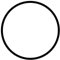 masar – O-Ringe für Uhren Ø 30,40 x 28,60 mm