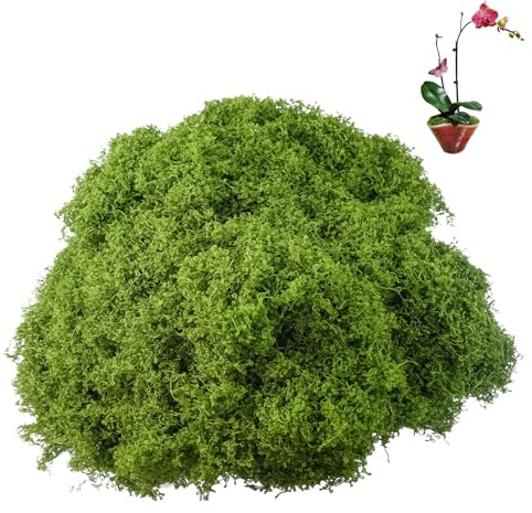 Hevysuo 200g Kunstmoos zum Dekorieren,Nylon Moos zum Basteln Natur,Fake Dekomoos für Landschaftsgestaltung,Rasen,Bonsai,DIY Modellbau（Dunkelgrün