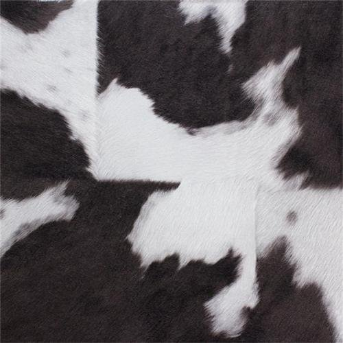 RT VliesTapete Kollektion African Queen II, mehrfarbig, 473919