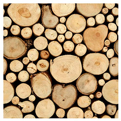 murando - Vlies Tapete 10m Foto Schlafzimmer Wohnzimmer Moderne Vliestapete XXL Wandtapete Motivtapeten Bildtapete Wand Dekoration - Holz 1602-8