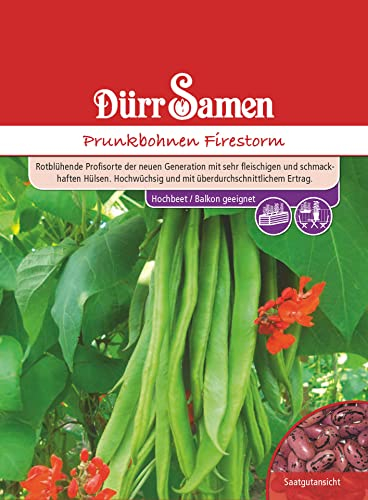 Prunkbohnen Samen Firestorm Bohnensamen Rotblühende Bohnen ca 40 Korn Saatgut Gemüse Garten Hochbeet Kübel Dürr Samen