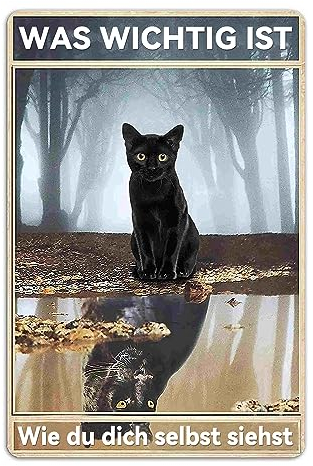 Metallschild Badezimmer Blechschild, WAS WICHTIG IST Wie du dich selbst siehst, Personalisiertes Schild VintageMetallschildHauswand,Raumdekoratio(12 x 8 Inch)