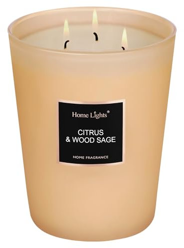 HomeLights Bougies parfumées en pot, bougies de soja naturel, 3 mèches en coton, longue durée de 130 heures, bougie d'aromathérapie pour homme et femme, Citrus et bois sauge