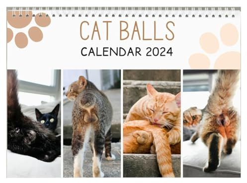 Tassety 1 x lustiger Kalender – lustiges Geschenk – Katzen Gesäß Kalender 2024 Papier ausgefallene Geschenke – Hoden –