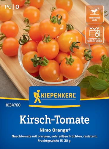 Kiepenkerl Kirsch-Tomatensamen Nimo Orange®, F1 1034760 - orangene Früchte - sehr süß - resistente Sorte - 15-20g - Saatgut, Tomatensamen, Gemüse Pflanzen